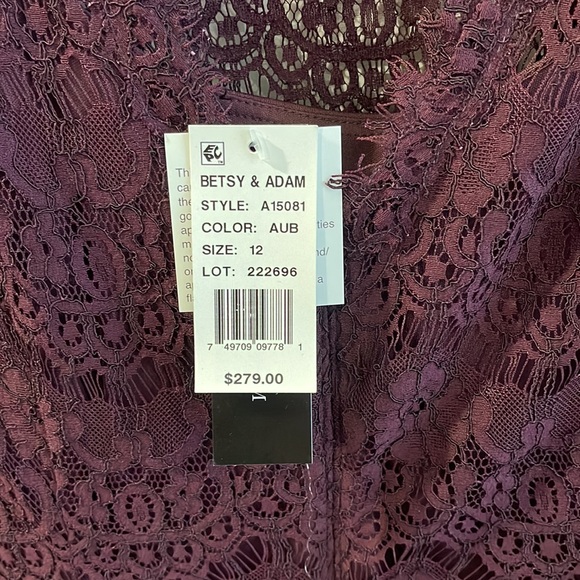 Betsy & Adam lace A-line dress with tulle in auburn (deep burgundy) size 12 - Picture 3 of 11